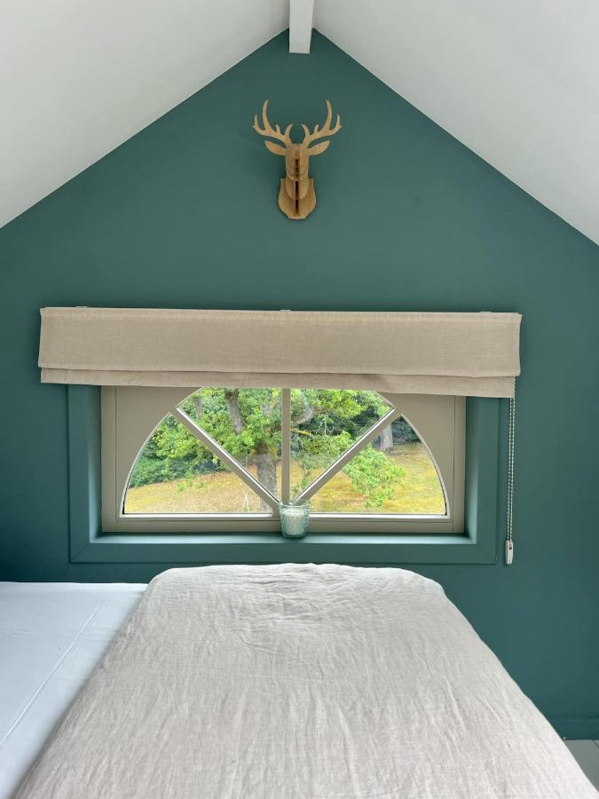 Single Room with Garden View