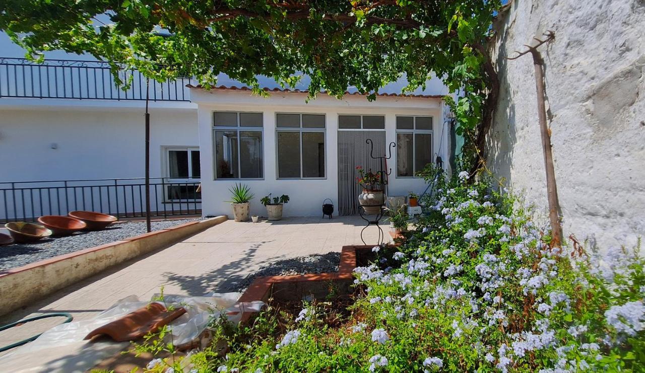 Casa Cor do Vinho - B&B Vila de Frades