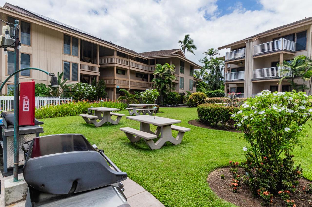 Ocean Echoes: Kona’s Oceanfront Family Oasis - B&B Kailua-Kona