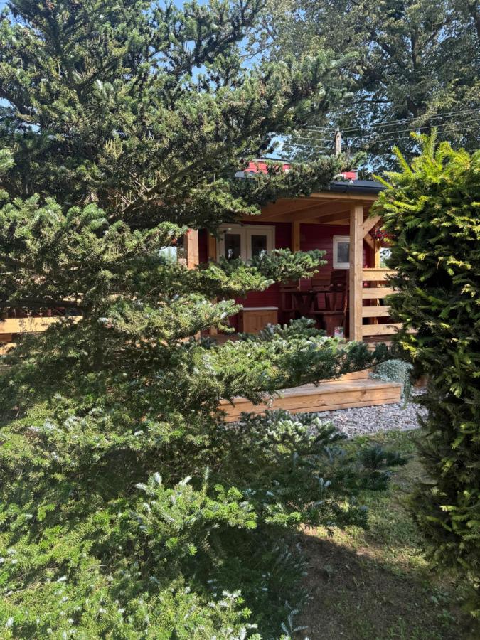 Tiny House Azyl Wolności - B&B Pozezdrze