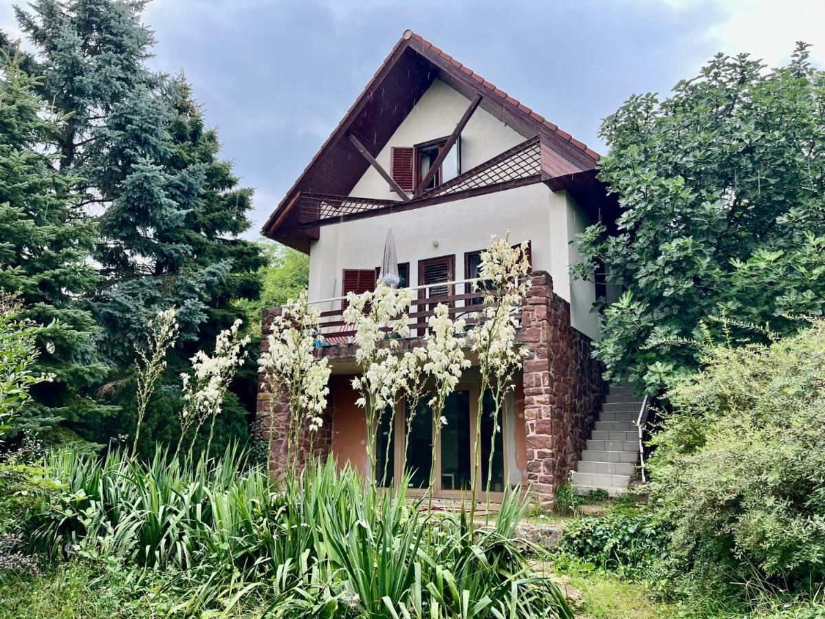 Vadrózsa kertkapcsolatos apartman - B&B