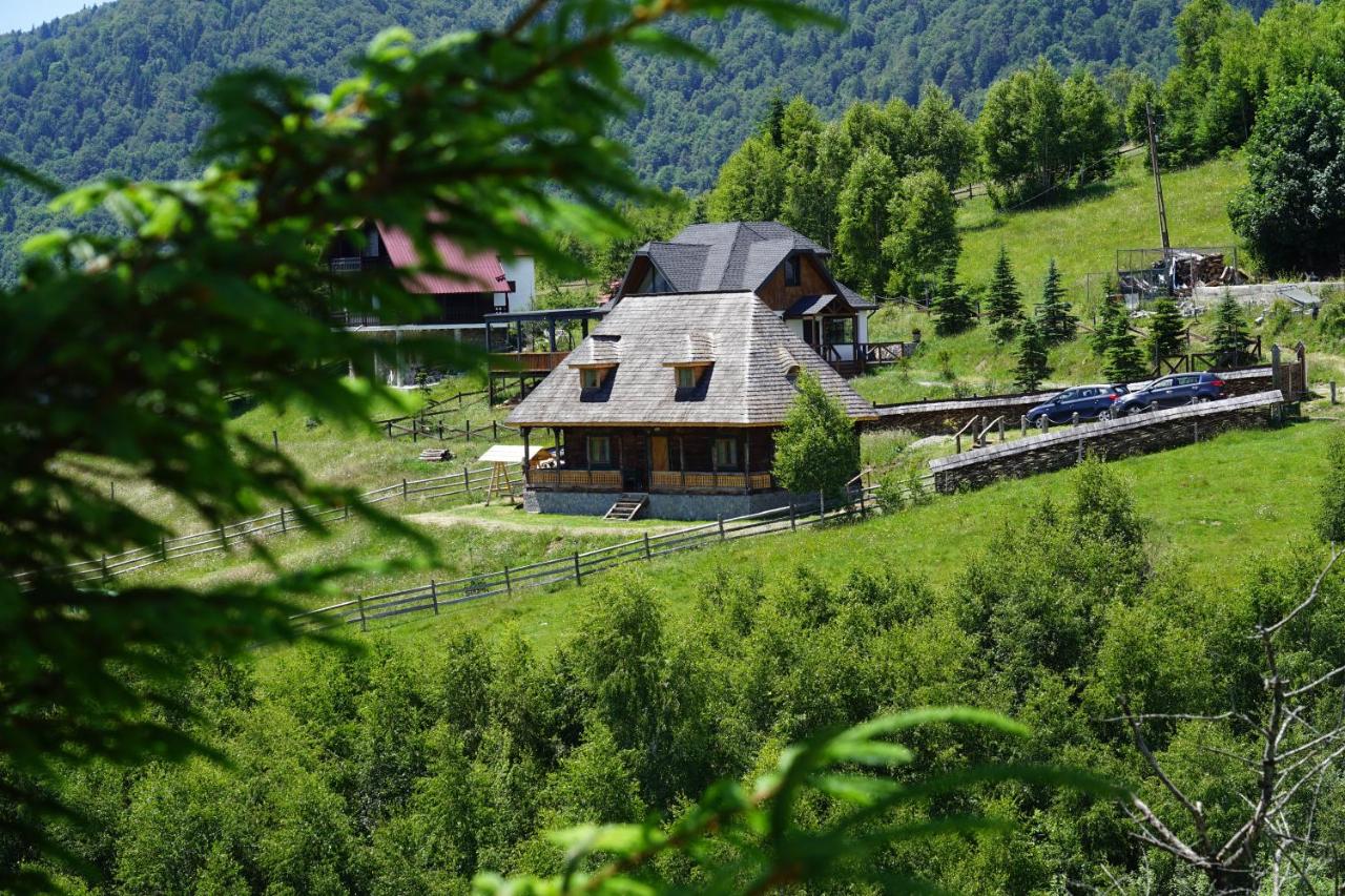 Casa Vlădușca - Bed and Breakfast Peştera
