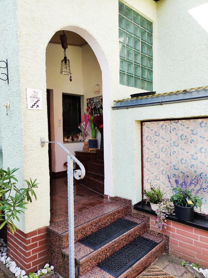 Drachennest - die tierfreundliche Ferienwohnung - B&B