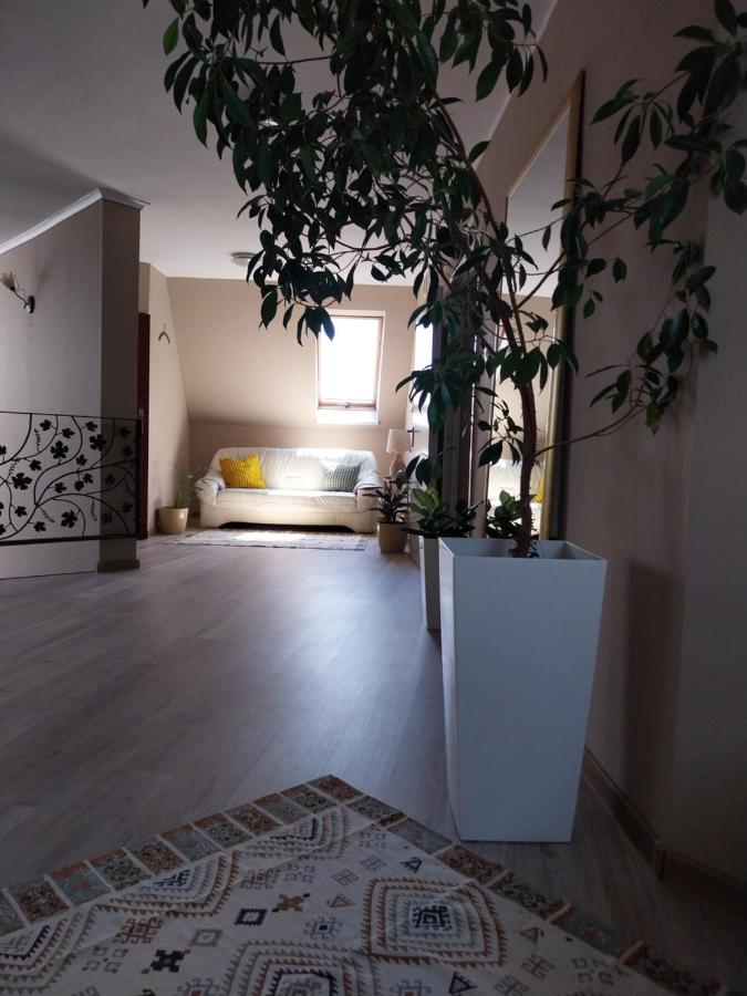 Hotelik pod Baranami - B&B