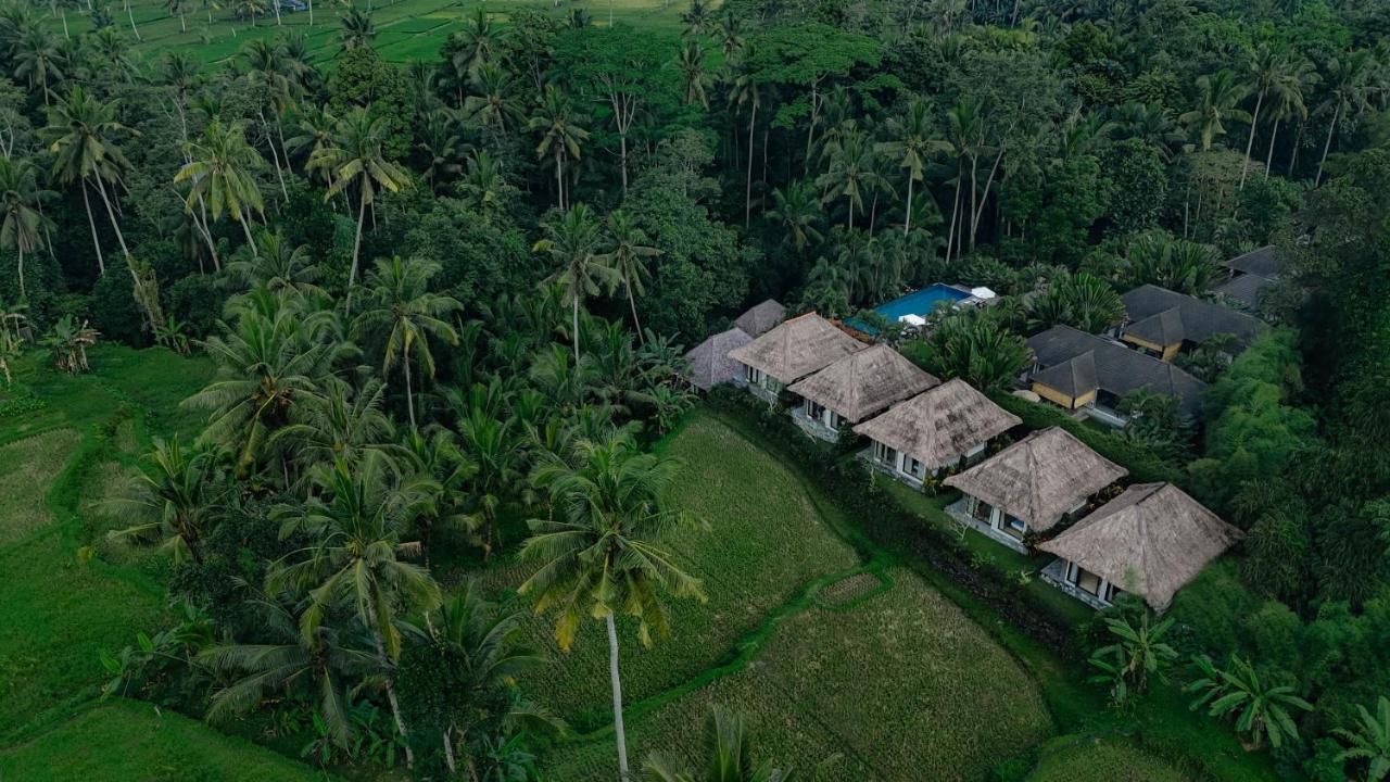 Suara Air Luxury Villa Ubud - B&B