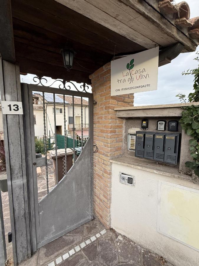 La casa tra gli ulivi di Fonte Nuova - B&B