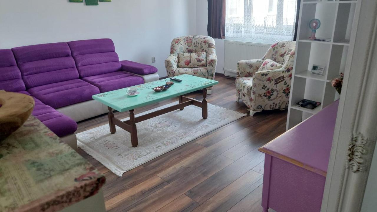 Apartament în Sighetu Marmației - B&B
