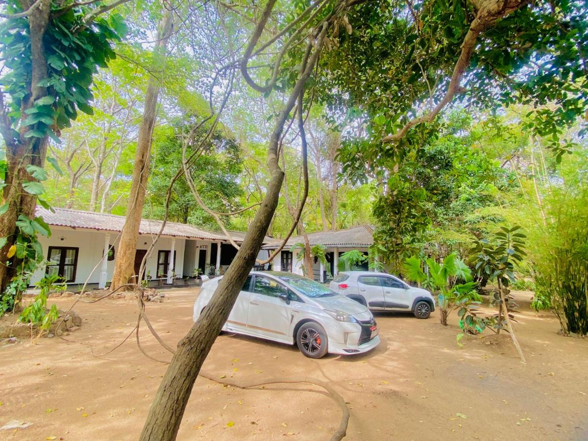 Zensigiri Wellness Homestay - B&B