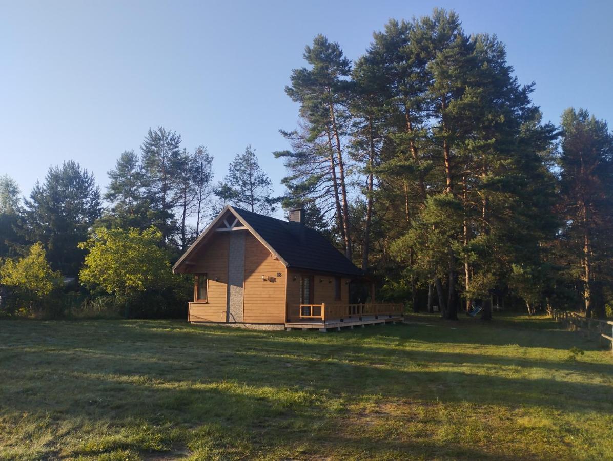 Domek pod Dębami Górecko Kościelne - Bed and Breakfast Górecko Kościelne