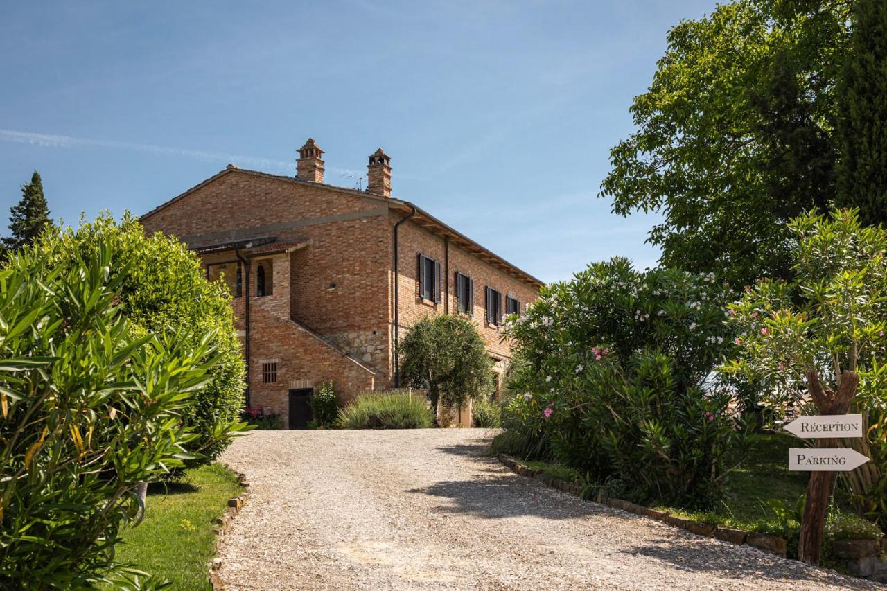 Agriturismo La Collina degli Olivi - B&B Certaldo