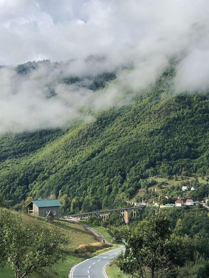 Rooms DVORIŠTA - B&B Zabljak