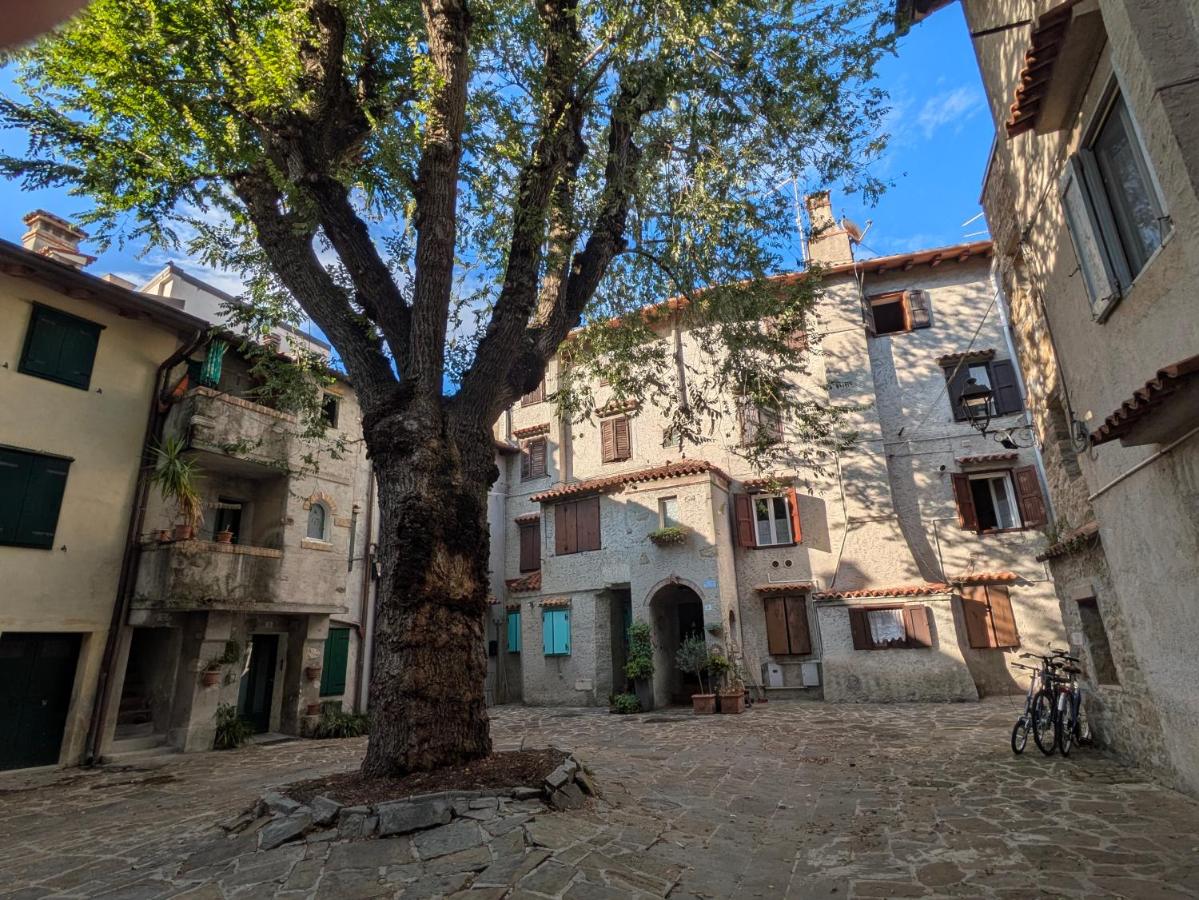 Casa Vianella - B&B