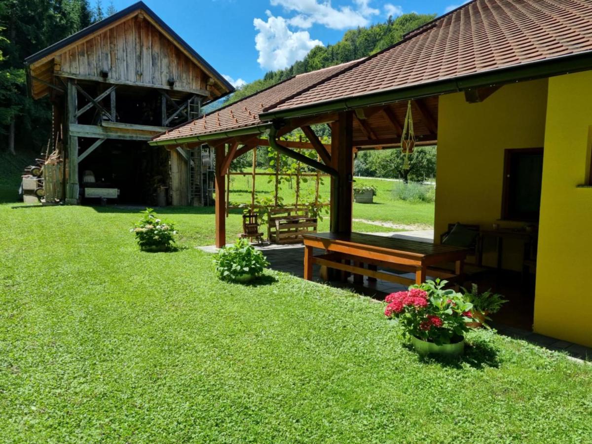 Pr DOLENC - Bed and Breakfast Petrovče