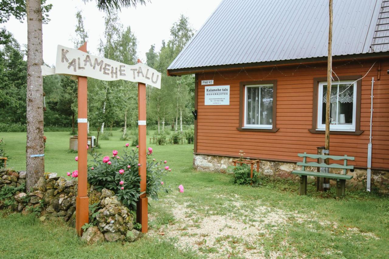 Kalamehe Farmstay - B&B