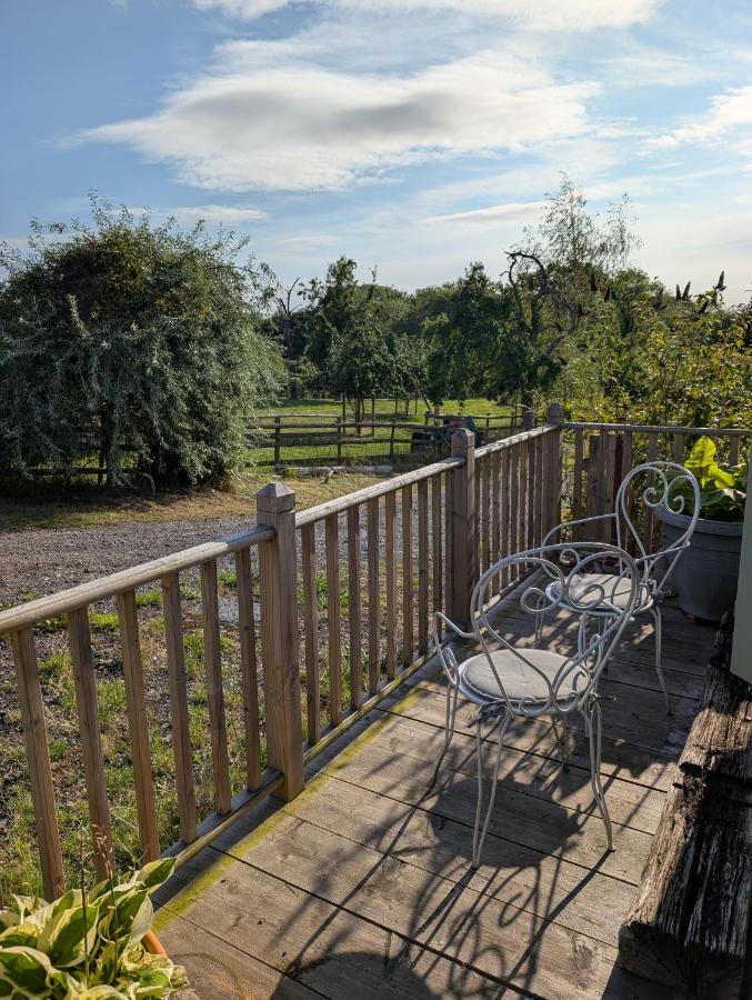 Audrey the Caravan of Dreams - B&B Bayton