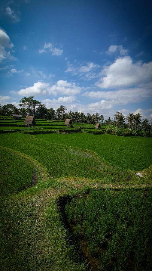 Swaha Retreat & Eco Park Ubud - B&B Tampaksiring