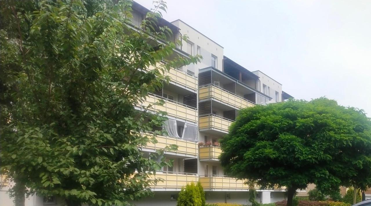 Apartament Kossaka - B&B Elbląg
