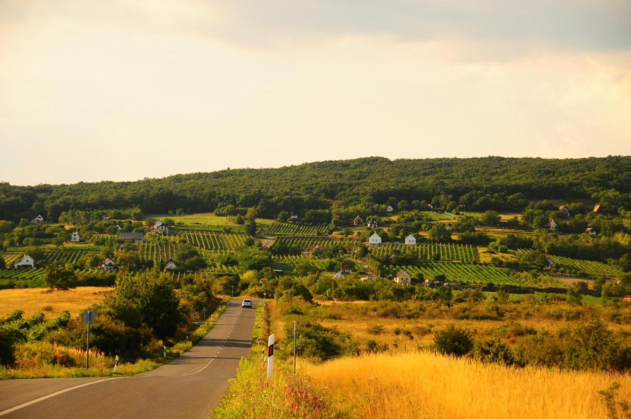 Első Ház Tagyon - B&B Tagyon