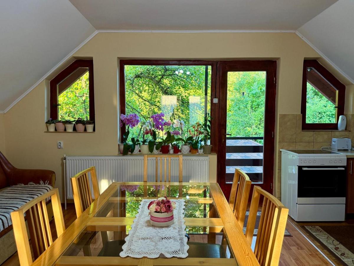 Bettina Apartman - B&B Sovata