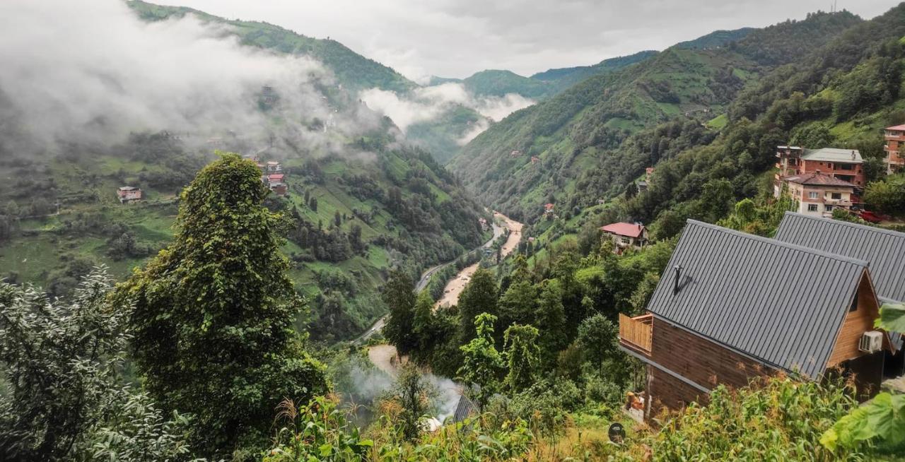 Rizelove Bungalov - B&B Çamlıhemşin