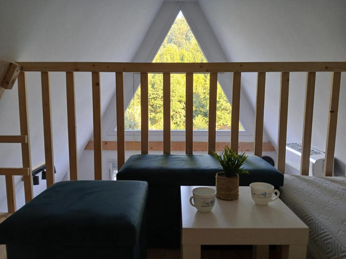 Vila SVITAC Banja Vrujci - B&B