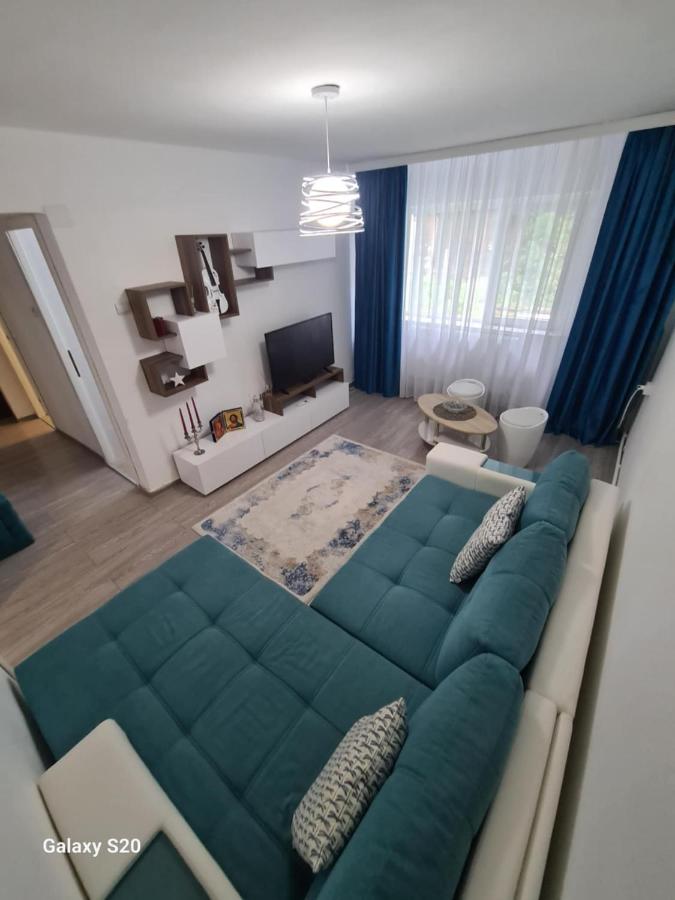 Apartament Central Slanic-Moldova - B&B