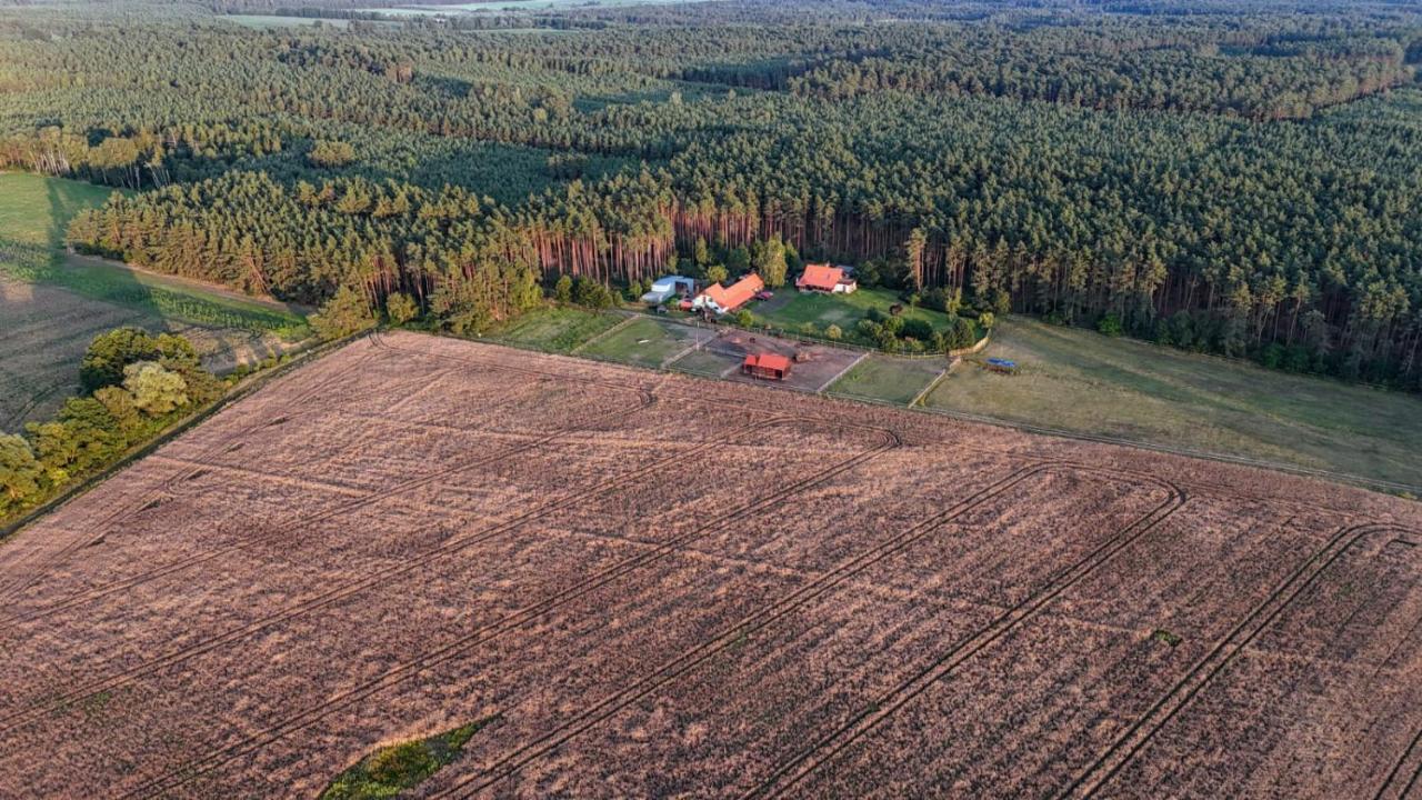 Nocleg na skraju puszczy - B&B