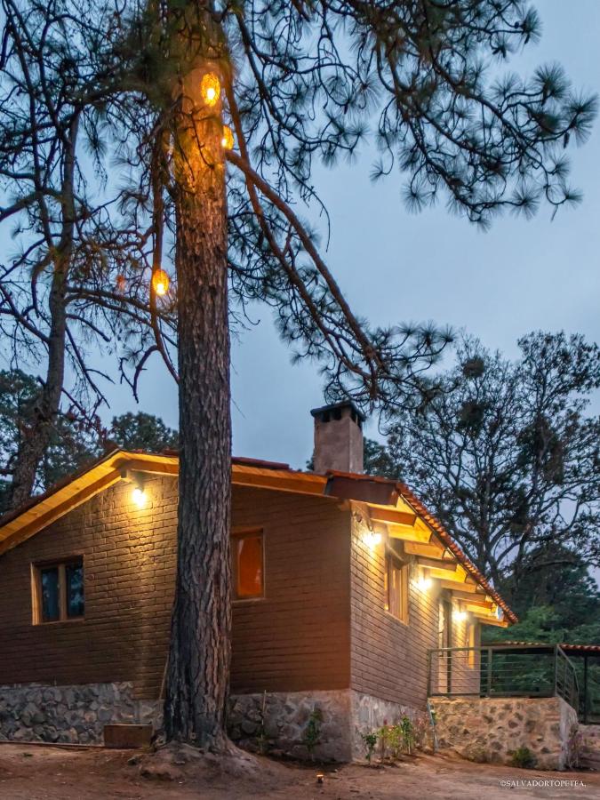 Cabaña el Durazno - B&B Tapalpa