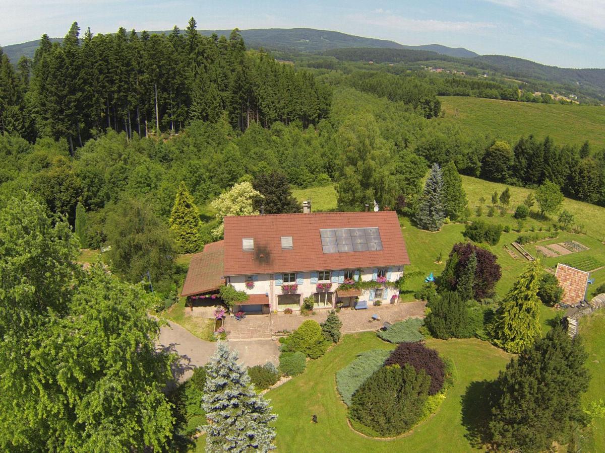 Gîte chaleureux avec cheminée, jardin, proche des randonnées Vosgiennes et attractions Alsaciennes - FR-1-589-224 - Ferienwohnung Provenchères-sur-Fave