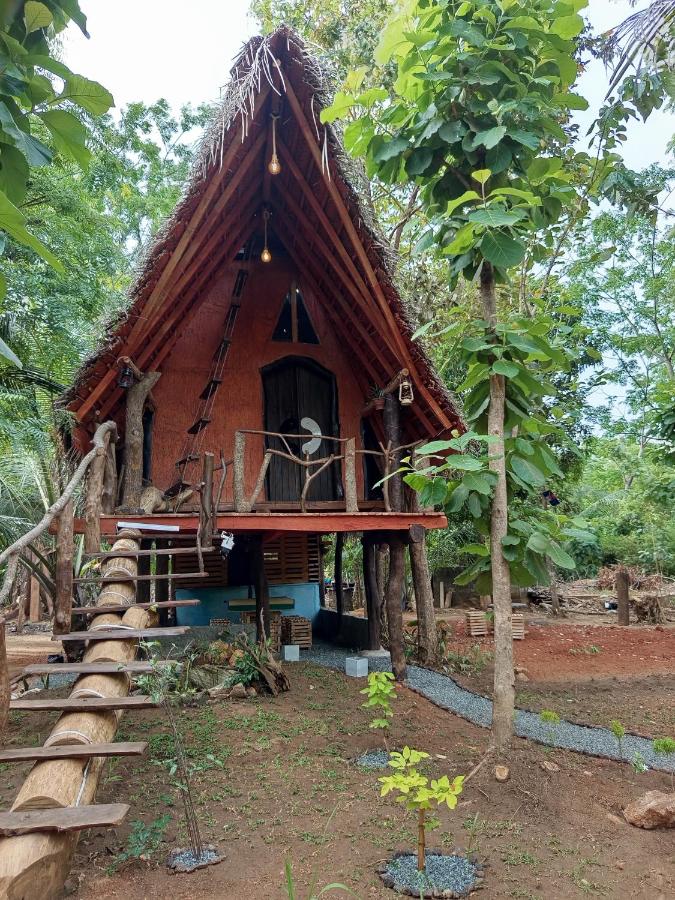 Sigiri Hunter's Eco Tree lodge - B&B