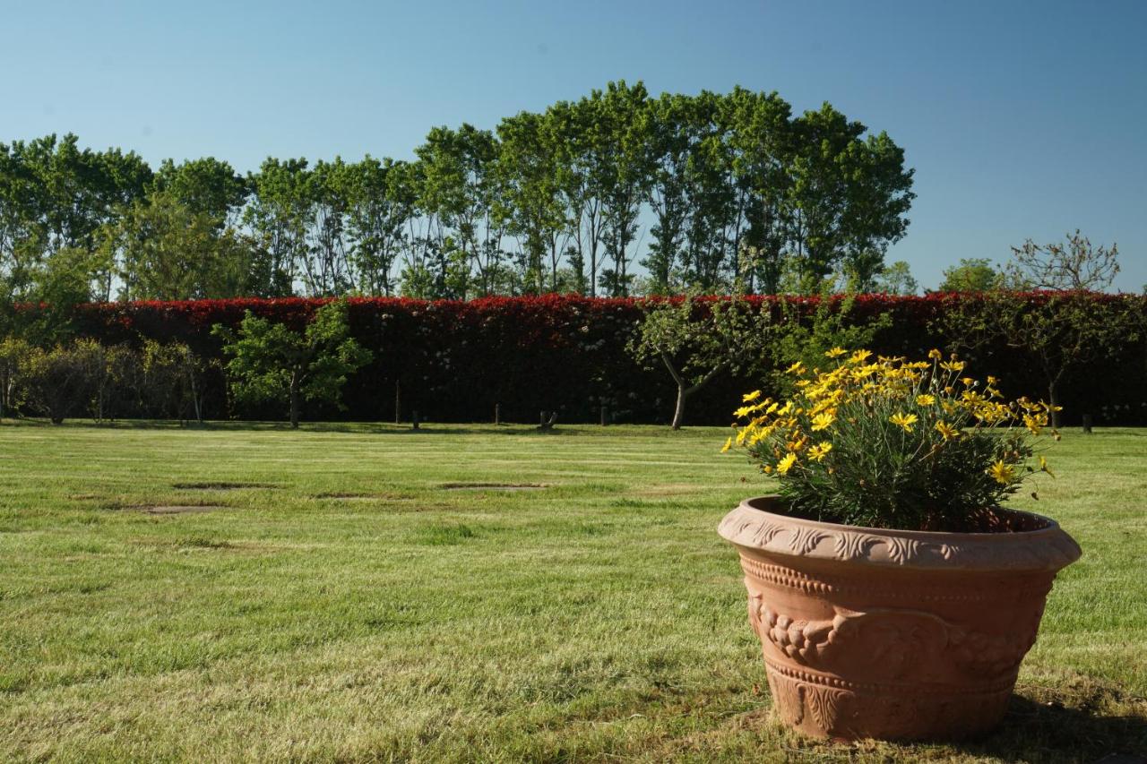 Cascina del Gelso - b&b - Ferienwohnung Santena