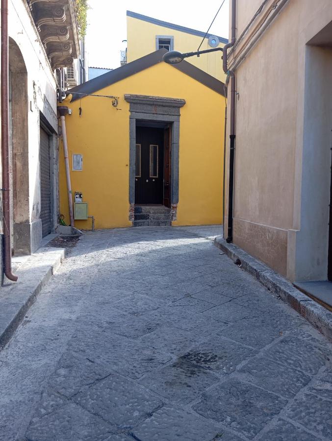 Estudio con vistas al jardín