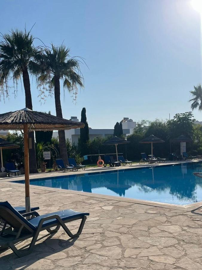 Peyia Hills - Bed and Breakfast Pégeia