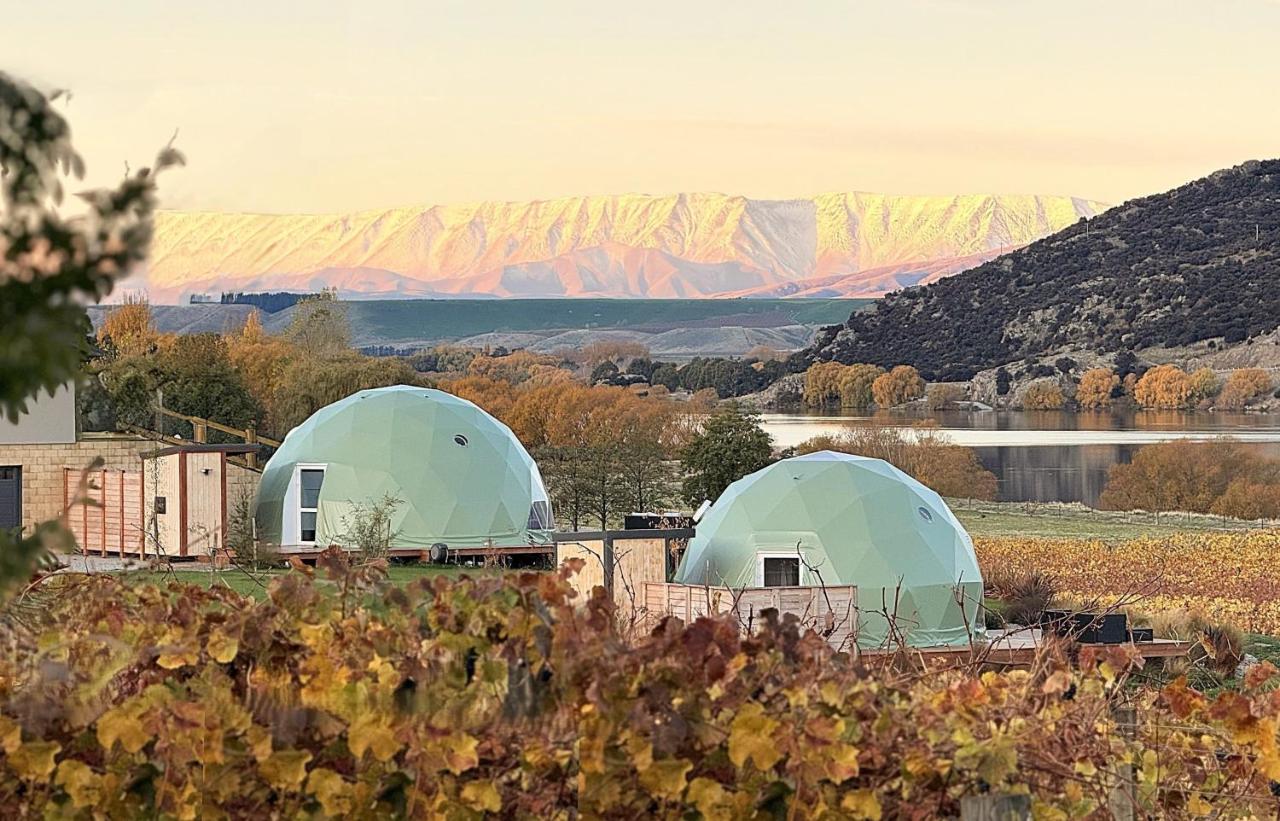 Glamping Dome - Pinot - B&B