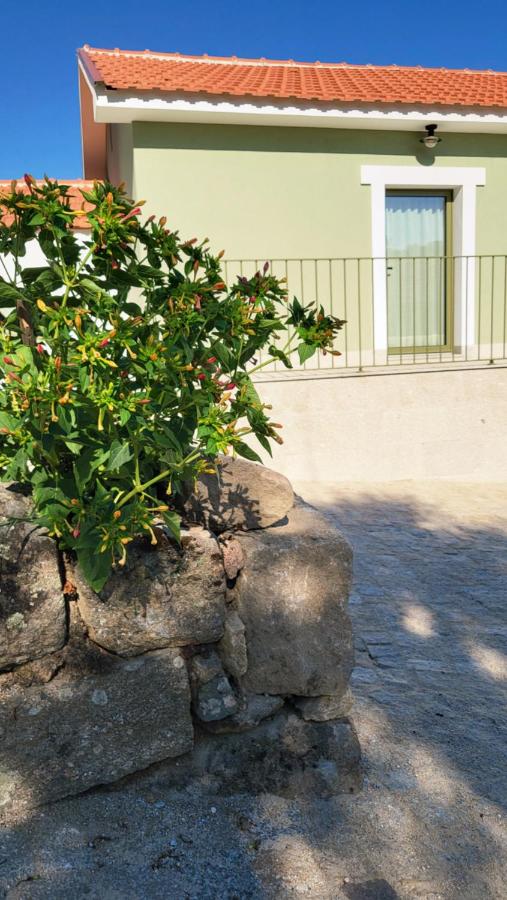 Quinta D'Azenha - B&B