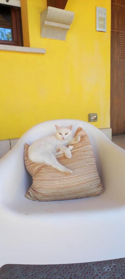 Bed and Bike - B&B Vasto