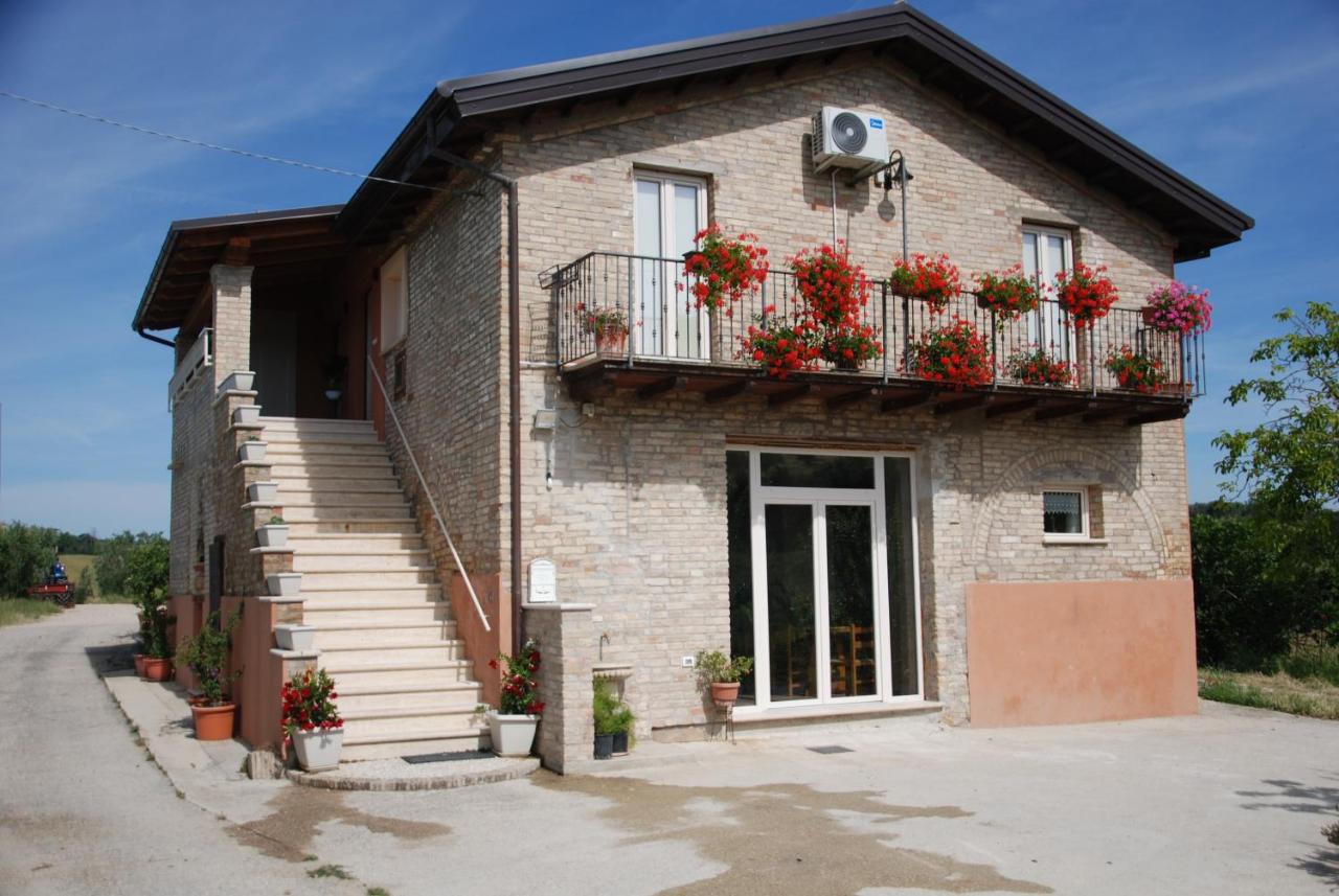 Agriturismo Magna Mater Agriculturae - B&B Monsampolo del Tronto