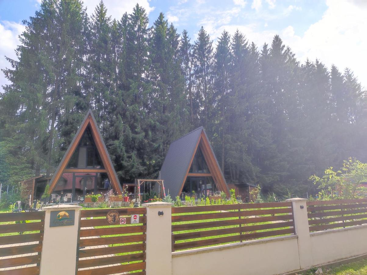 A Frame Scorilo - B&B Poiana Mărului