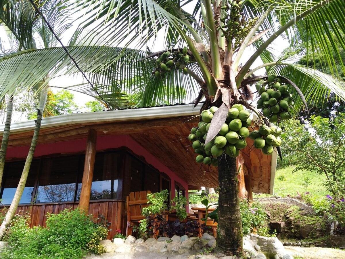 Pura Natura Lodge Arroyo - B&B
