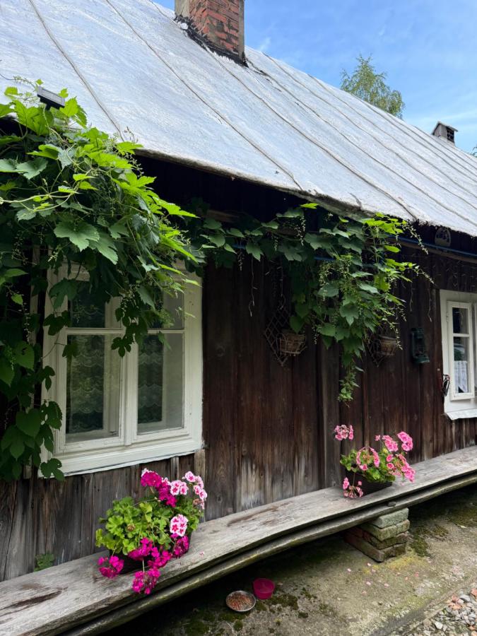 Chata Adama i Ewy - B&B Szymbark