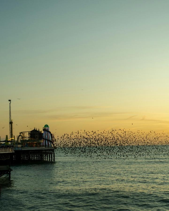 Top Flat - Bed and Breakfast Portsmouth