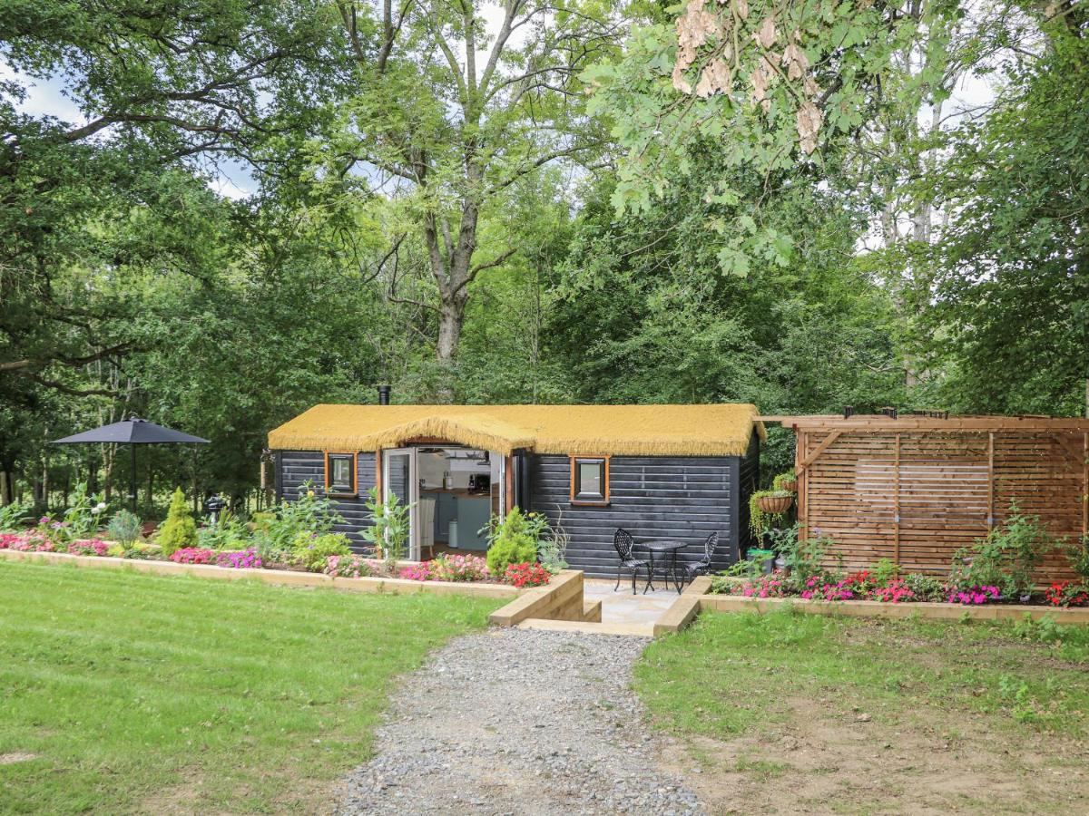 Charltons Hollow Cabin - Bed and Breakfast Haywards Heath