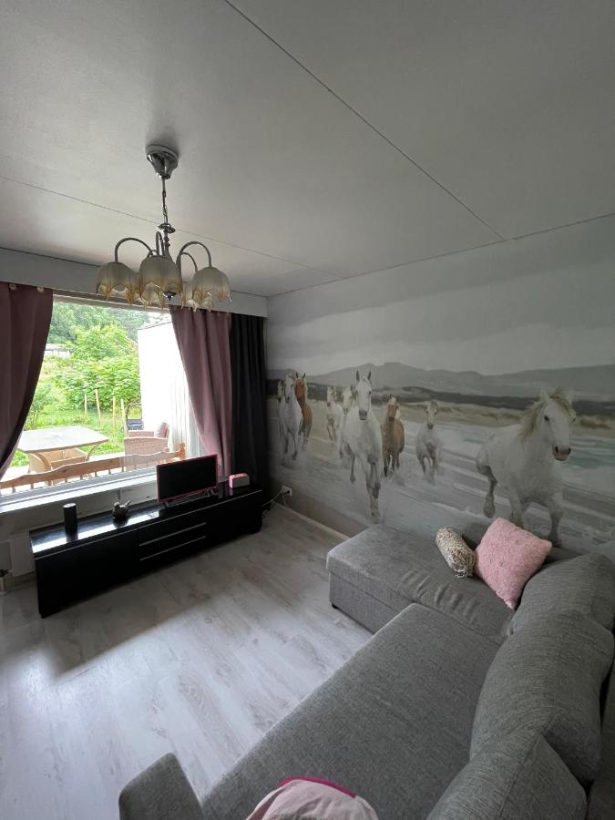 Yksiö Nuutajärvi Pikku Masa - B&B Nuutajärvi