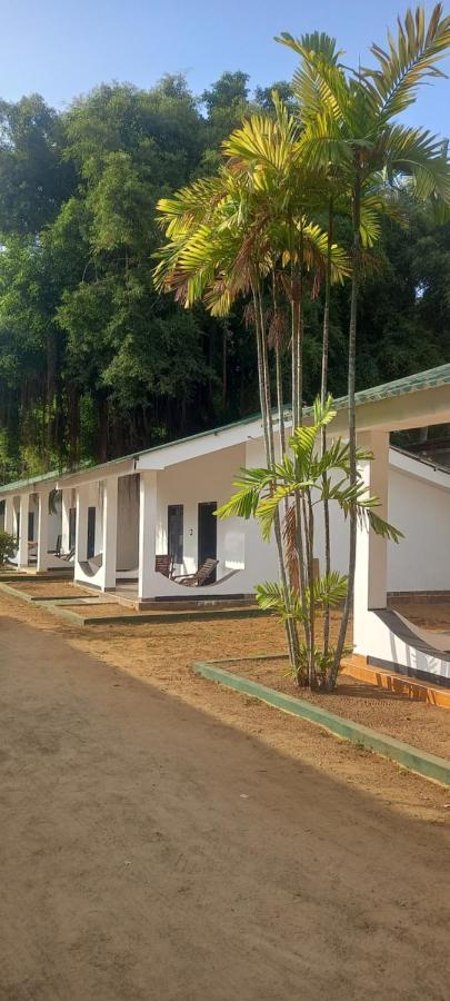 Crown Majesty - Bed and Breakfast Arugam Bay