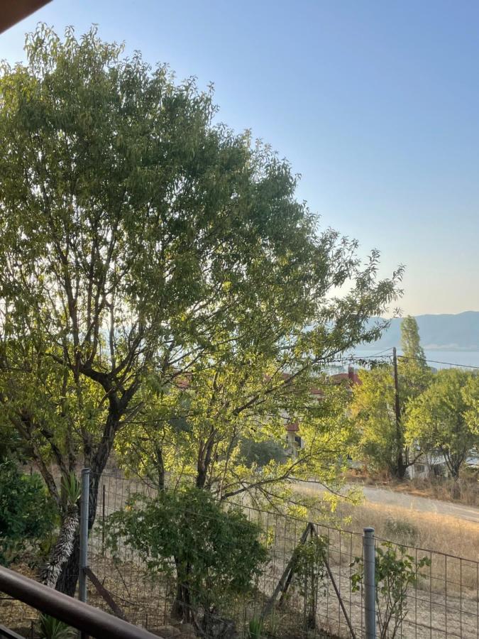 Volvi View Apartment - B&B
