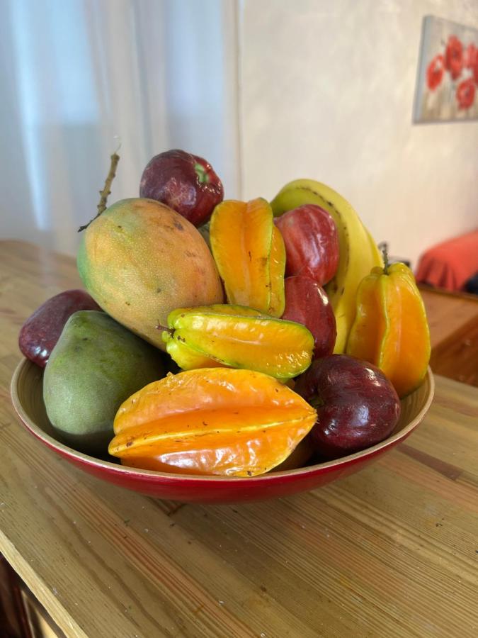 Maison Petit Paradis - B&B Basse-Terre