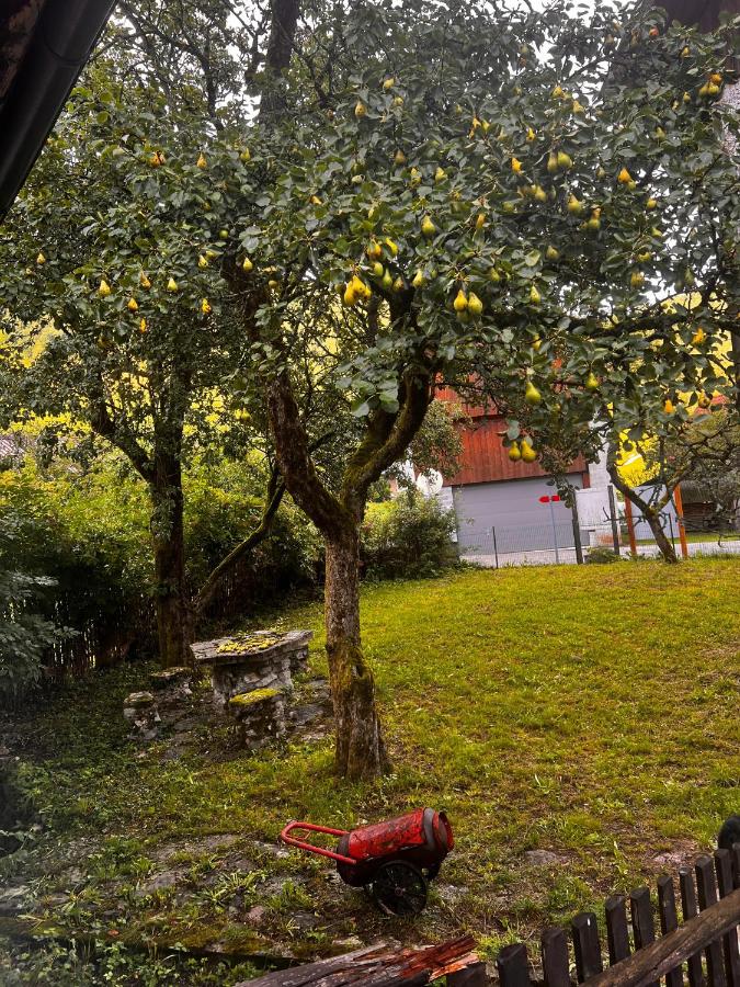 Apartma Pr'Csrlu - Bed and Breakfast Rut