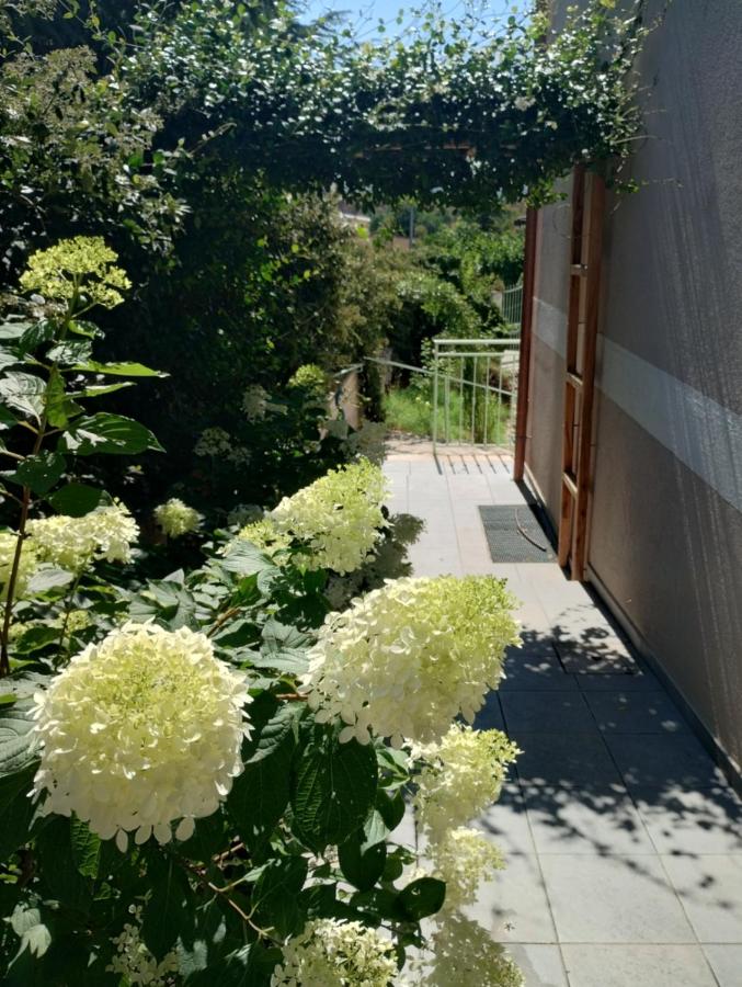 COUNTRY HOUSE ViLLA GIGINA - B&B San Gregorio