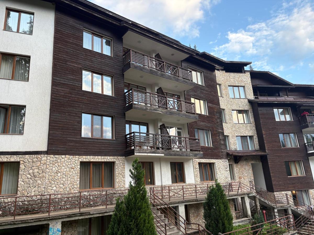 Pine forest apartments - B&B