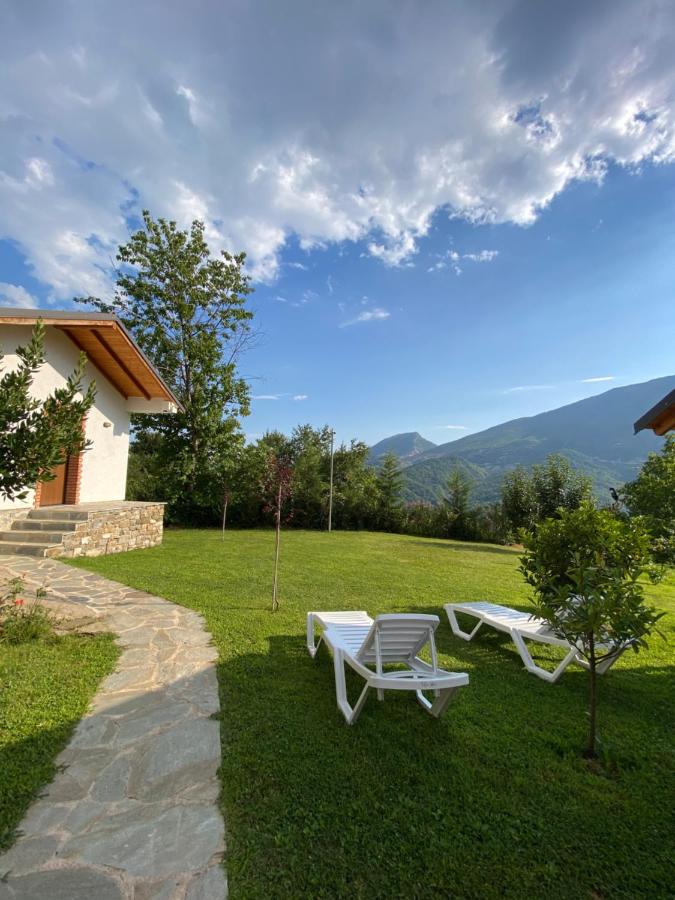 Guest House Laci - B&B
